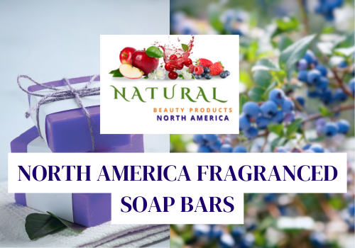 North America Fragranced Soap Bars